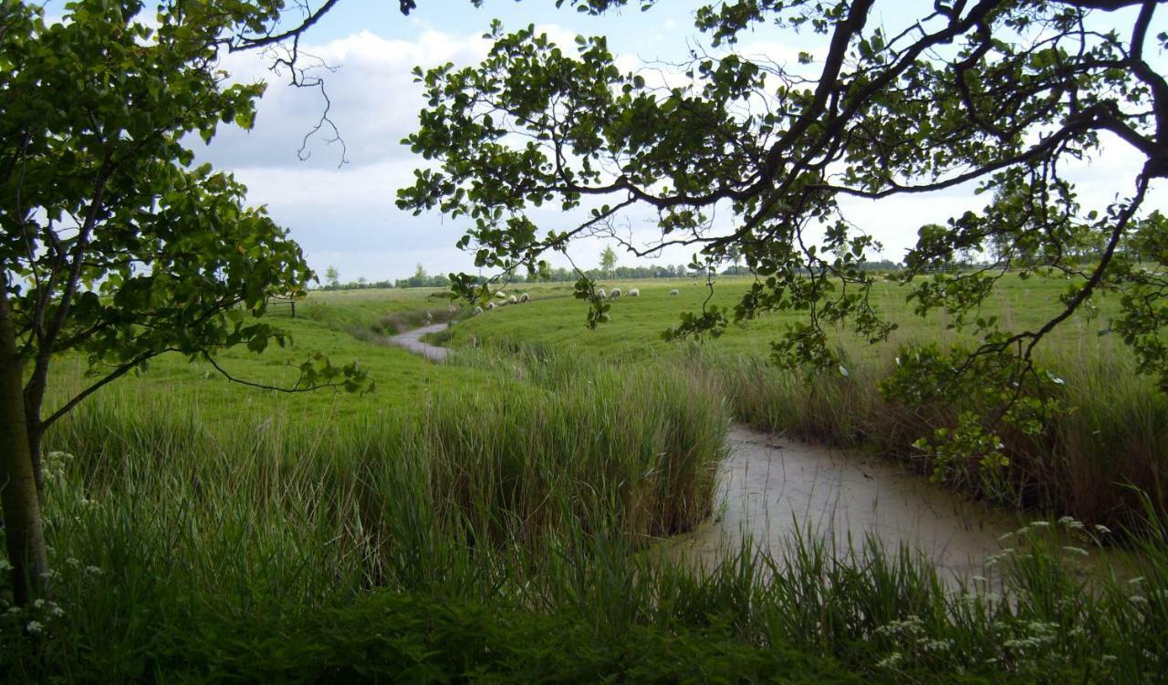 Appartamento Freesenkoog Koldenbuttel Esterno foto